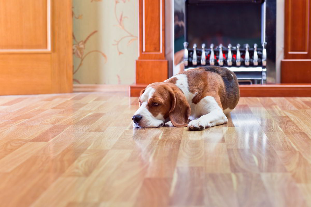 Is Laminate Flooring Your Choice?
